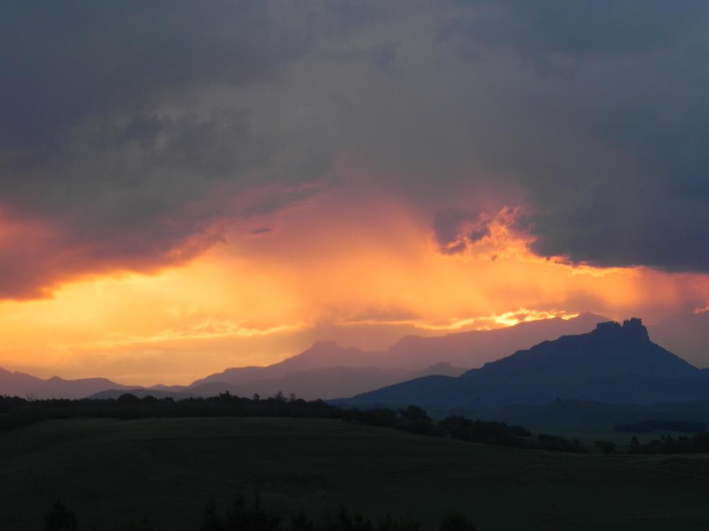 Experience the Magic of Underberg